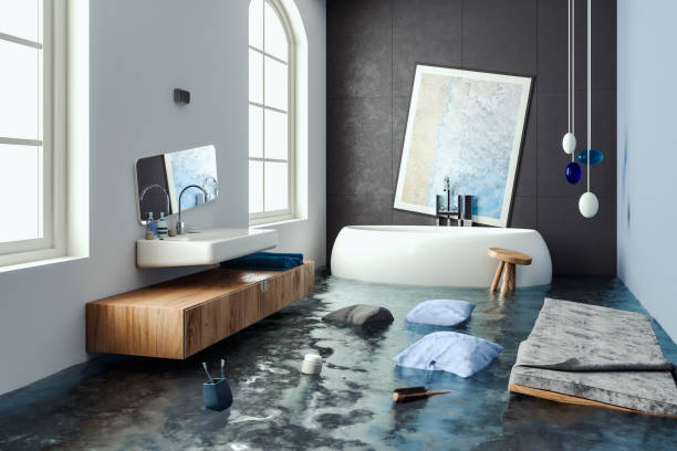 Best Water damage cleanup near me  in Gentry, AR