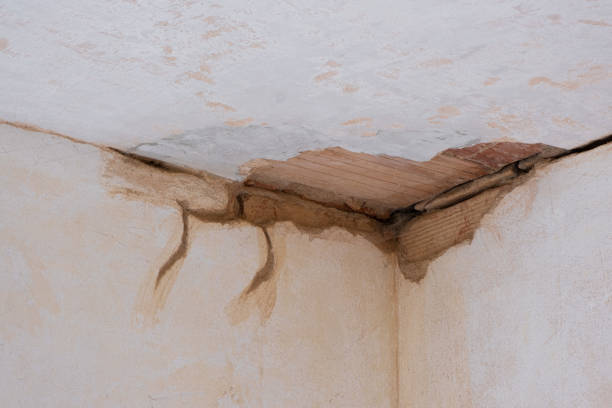 Best Water damage cleanup near me  in Gentry, AR