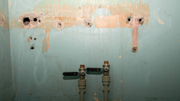 Best Local water damage restoration  in Gentry, AR