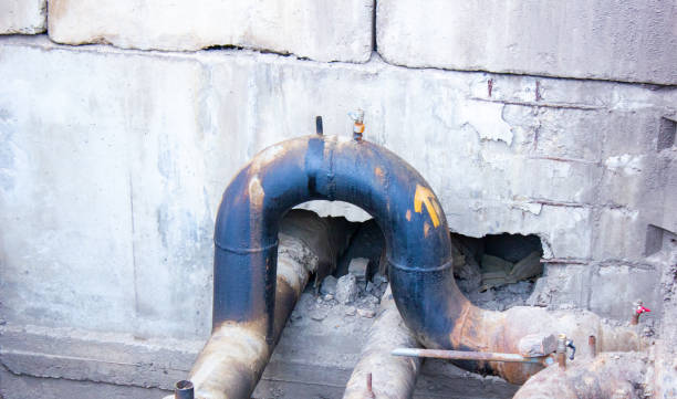Best Emergency water damage restoration  in Gentry, AR